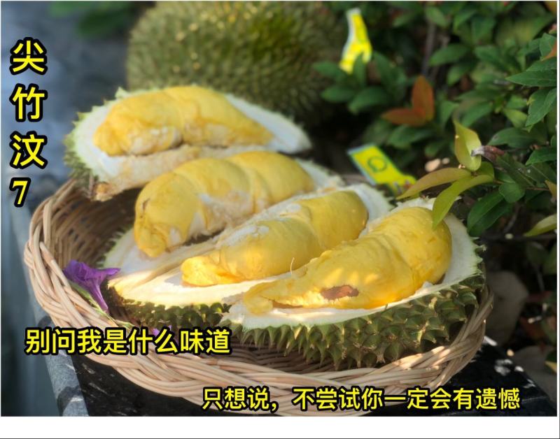 查曼尼8公斤435包邮(只卖泰国榴莲)