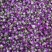 粉玫瑰玫瑰花茶无硫新货干净无杂质量大从优