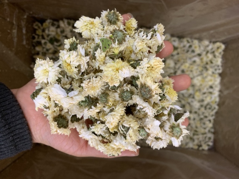 贡菊黄山贡菊七月花无硫新货无杂质量大从优