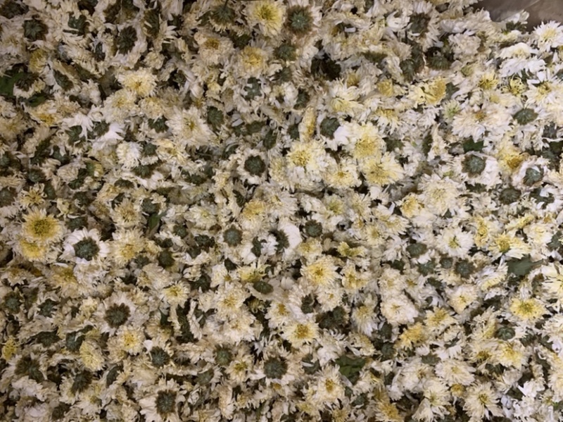 贡菊黄山贡菊七月花无硫新货无杂质量大从优