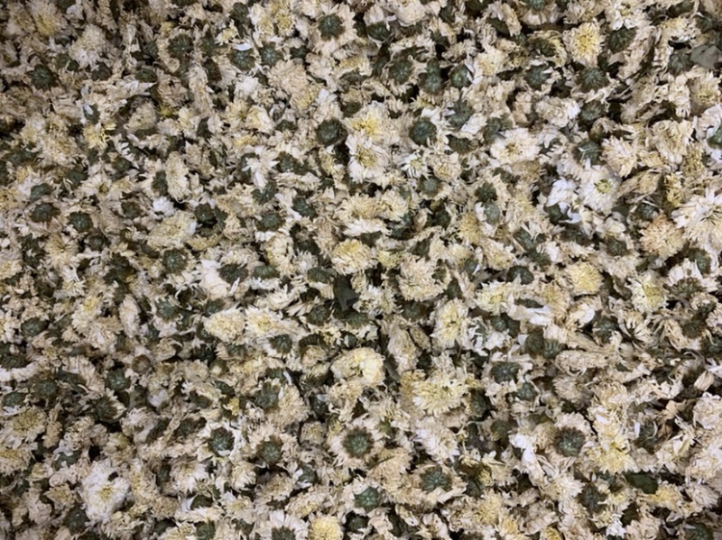 贡菊黄山贡菊七月花无硫新货无杂质量大从优