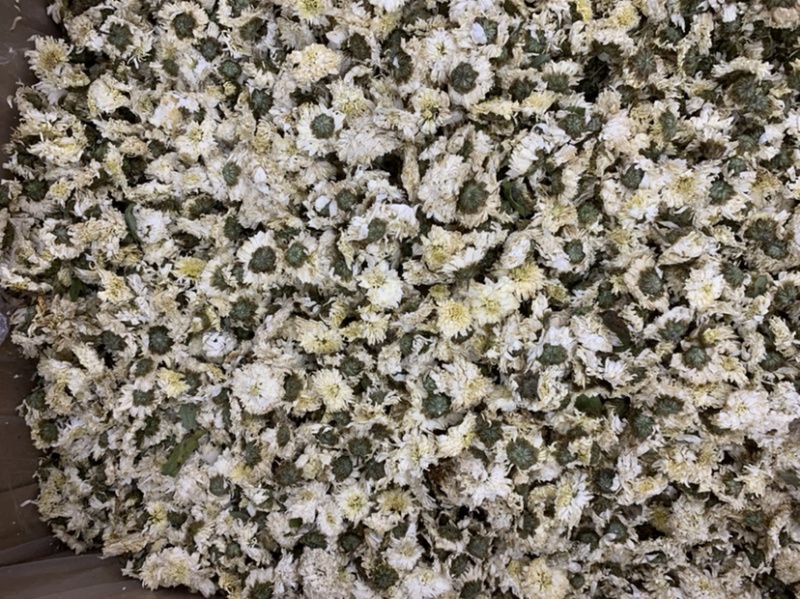 贡菊黄山贡菊七月花无硫新货无杂质量大从优