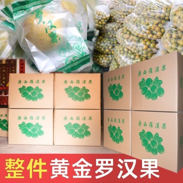 黄金罗汉果低温脱水工艺广西桂林永福特产批发
