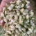 茉莉花无硫新货干净无杂质量大从优1公斤起批