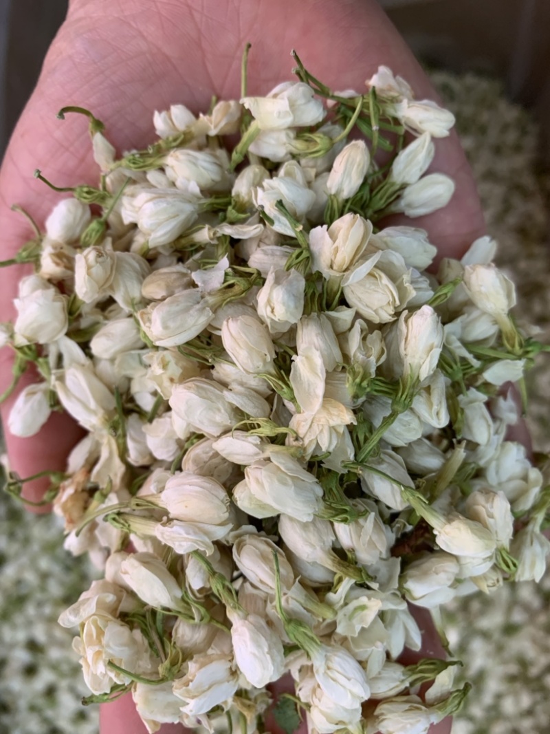 茉莉花无硫新货干净无杂质量大从优1公斤起批
