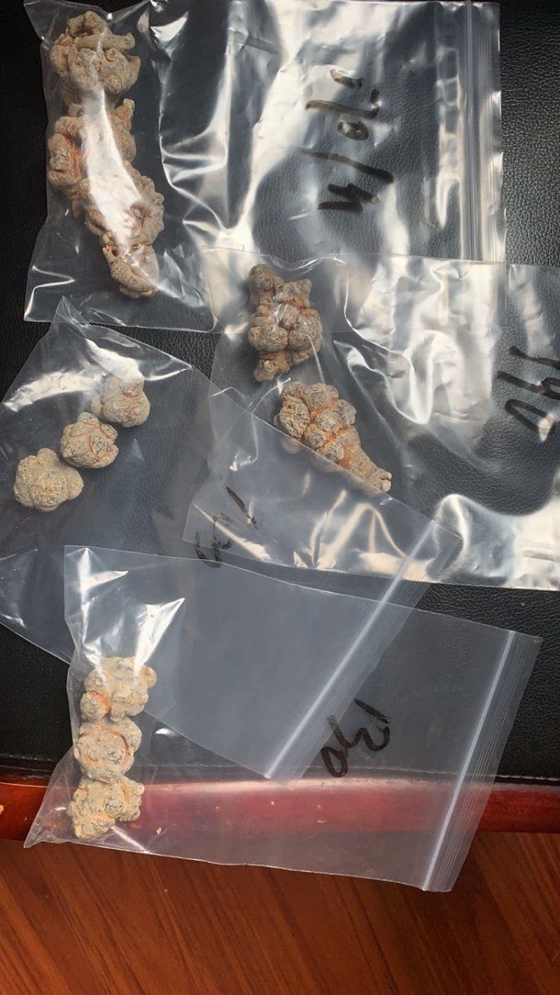 云南文山三七头三七田三七代切片磨粉批发砚山为三七之乡