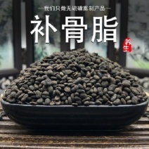 补骨脂四川过风筛净货破故纸黑故子无硫熏