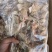 单冻鱿鱼脖鱿鱼脖鱿鱼脆脆骨鱿鱼边角料