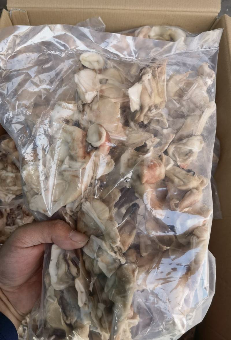 单冻鱿鱼脖鱿鱼脖鱿鱼脆脆骨鱿鱼边角料