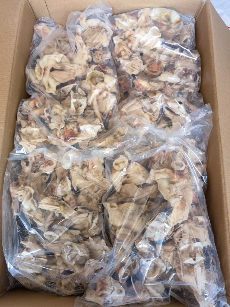 单冻鱿鱼脖鱿鱼脖鱿鱼脆脆骨鱿鱼边角料