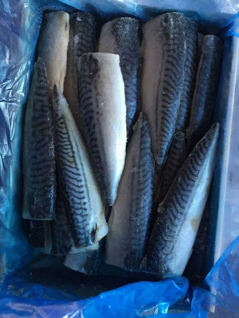 挪威进口青花鱼片规格全