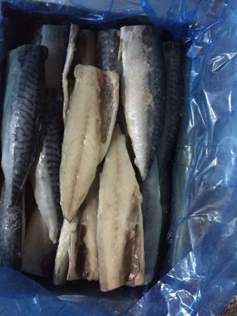挪威进口青花鱼片规格全