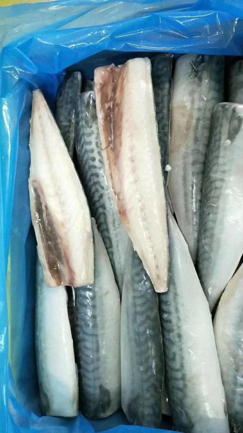 挪威进口青花鱼片规格全