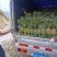 云南万亩香水菠萝园！货源充足，每天可发几十吨没问题