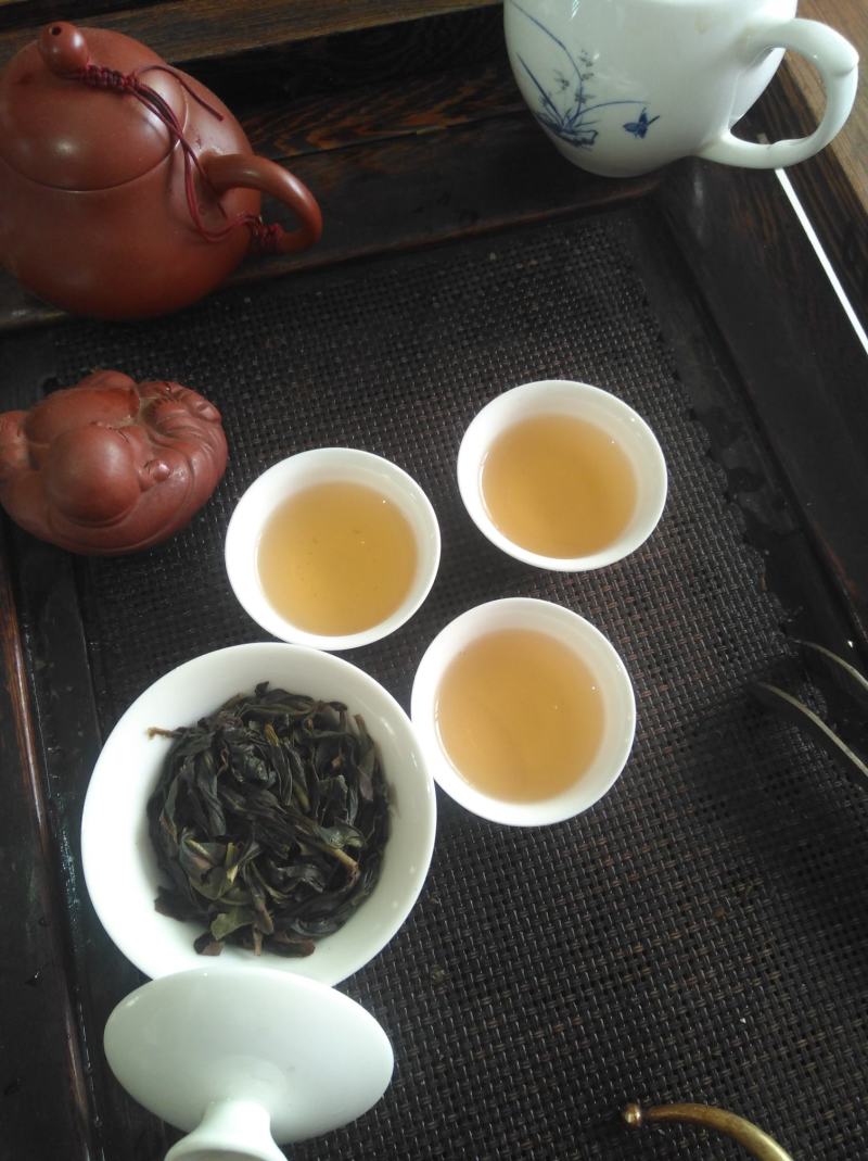 凤凰高山乌种单丛是一款有着高山也韵味，海拔1000米