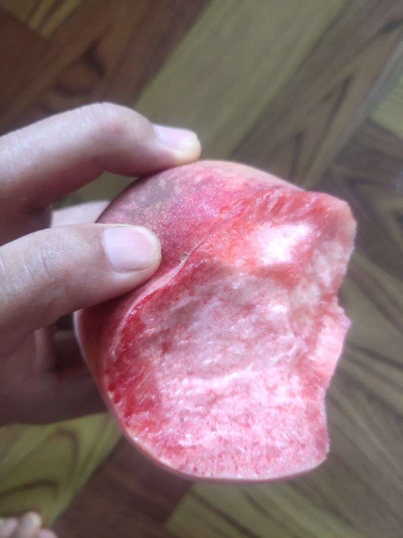 毛桃