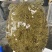 外塘冷水甲鱼团鱼脚鱼老鳖花公甲鱼包活品质高