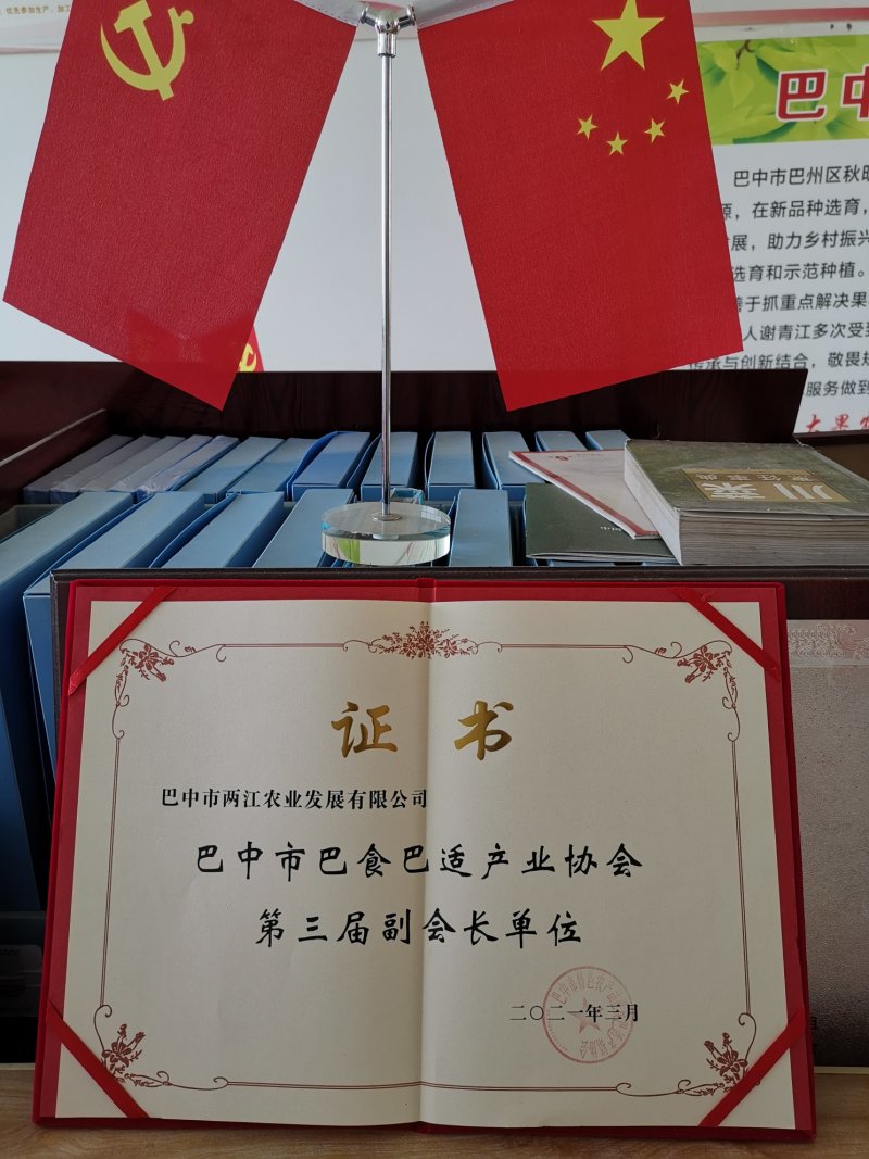 苏翠2号苏翠梨树苗，早熟新品种，包技术，包品种，基地直供