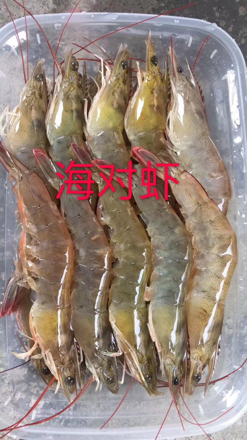 自家日晒新鲜虾干网红虾干微辣适合零食无添加