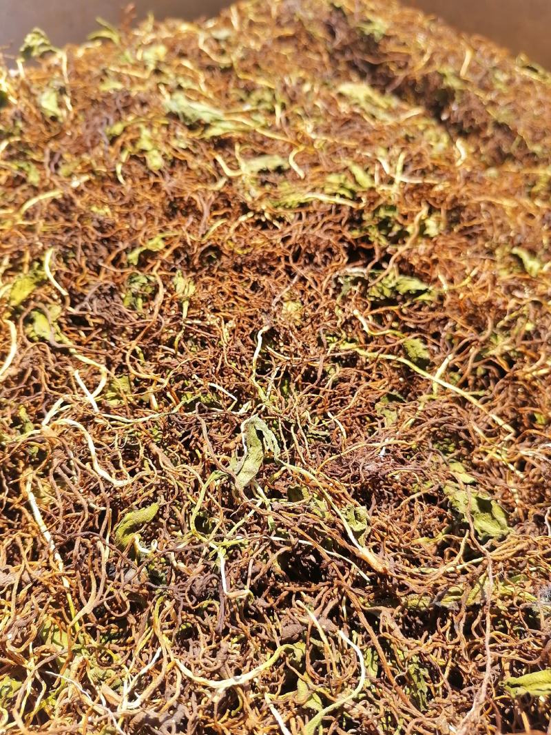 云南省文山州野生一支箭大量产新需要的一亩田联系我