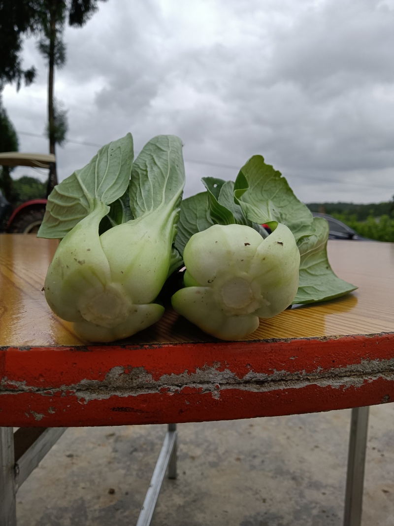 蔬菜