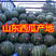 陆地西瓜产地价格便宜黑子大红瓤甜王西瓜熟度保证欢迎咨询