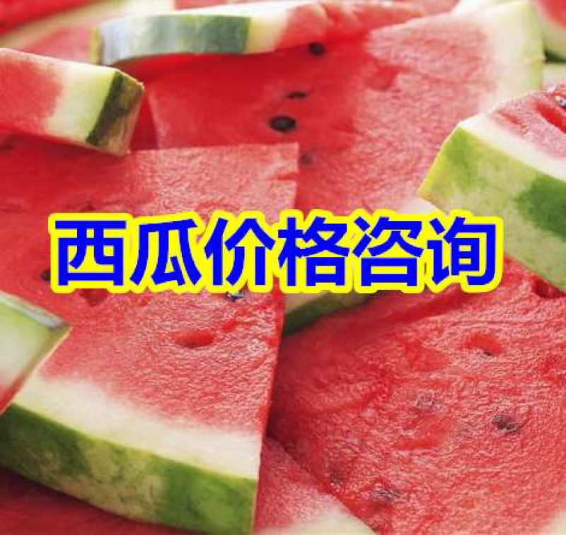 陆地西瓜产地价格便宜黑子大红瓤甜王西瓜熟度保证欢迎咨询