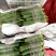 丝瓜（新鮮丝瓜現貨）