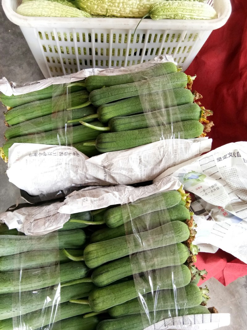 丝瓜（新鮮丝瓜現貨）