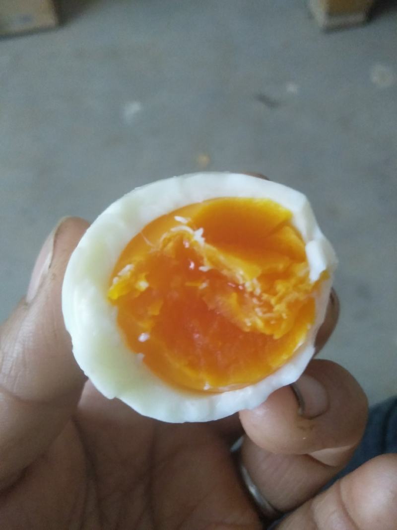 大量出售笨鸡蛋，大公鸡，母鸡