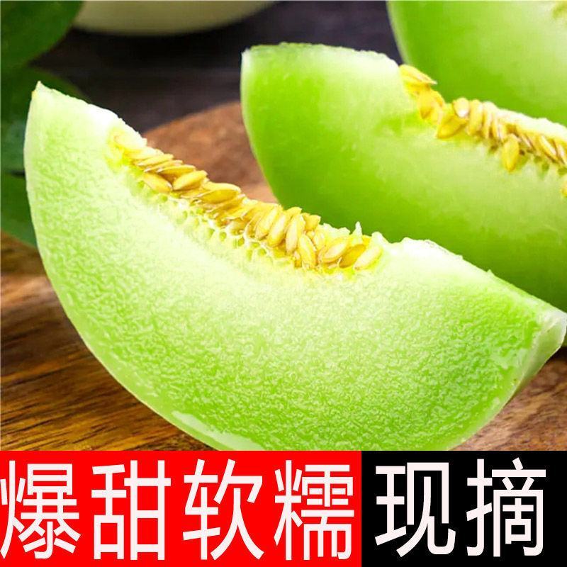 山东莘县玉姑甜瓜大量上市一件代发，玉菇甜瓜支持社区团购