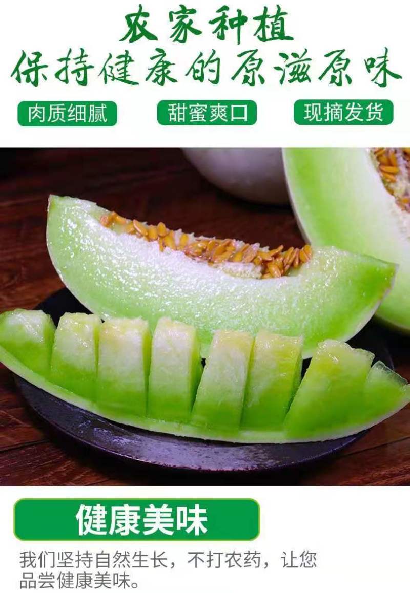 山东莘县玉姑甜瓜大量上市一件代发，玉菇甜瓜支持社区团购
