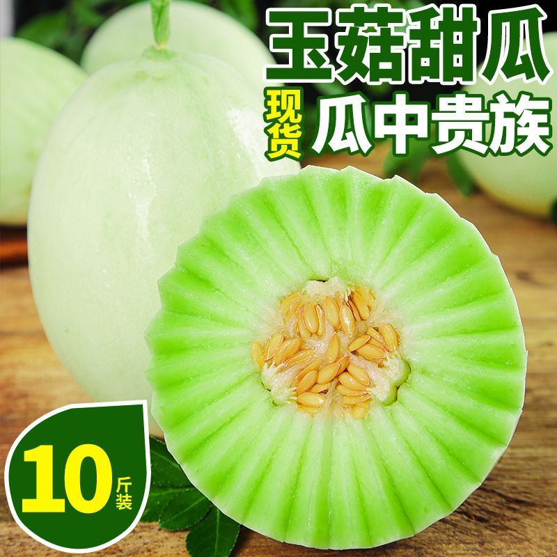 山东莘县玉姑甜瓜大量上市一件代发，玉菇甜瓜支持社区团购