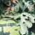 山东潍坊西瓜种植基地直供精品甜王西瓜代办经验多年熟度好甜