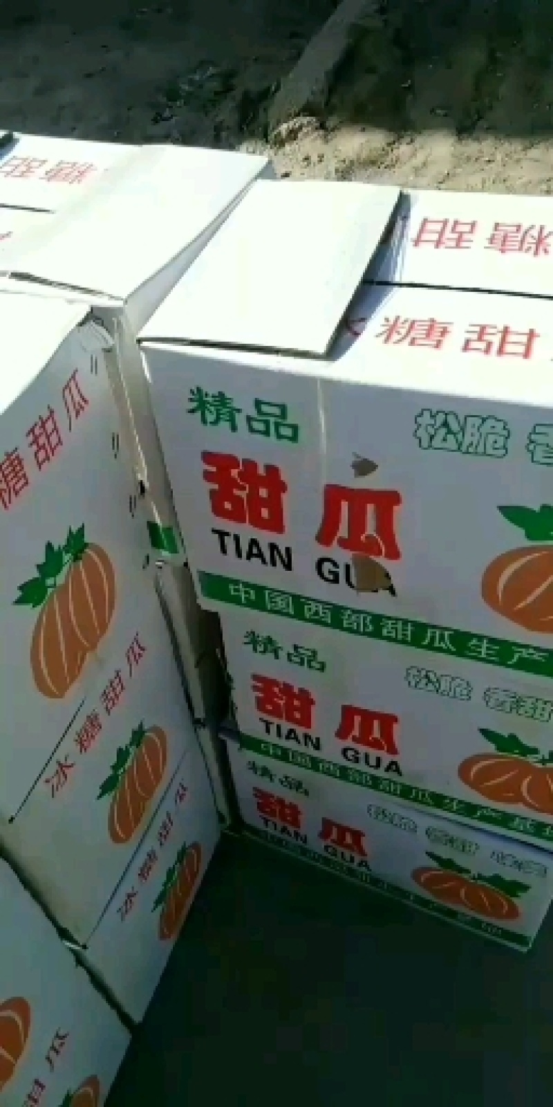 精品小甜瓜，大量上市，质量好，价格低，货源充足