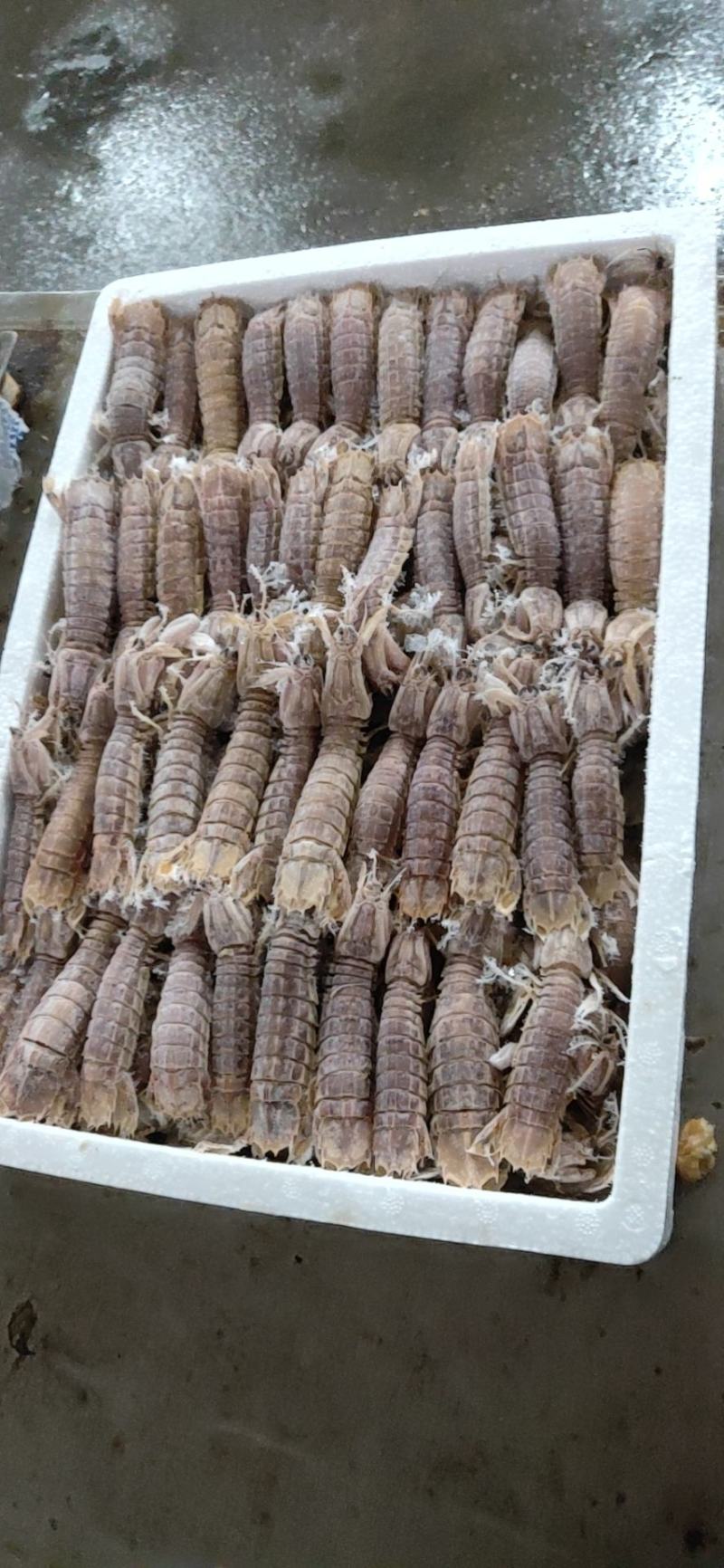 熟速冻皮皮虾，一盒4斤，肥肥得