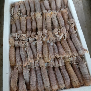 熟速冻皮皮虾，一盒4斤，肥肥得