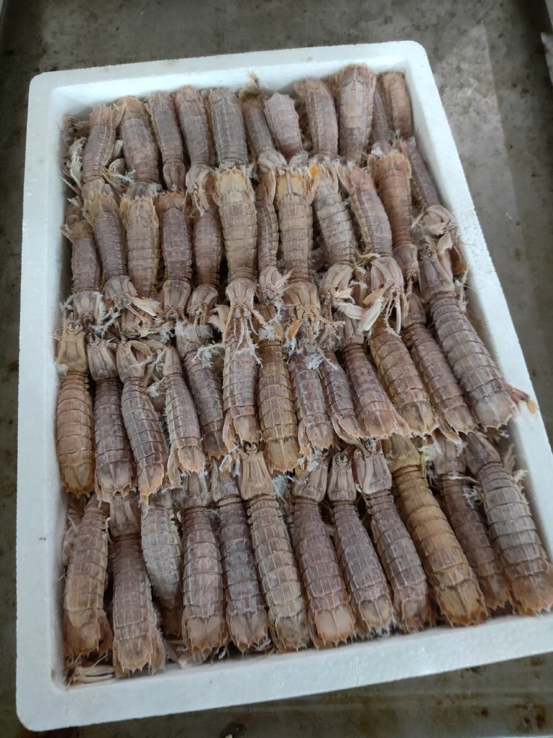 熟速冻皮皮虾，一盒4斤，肥肥得