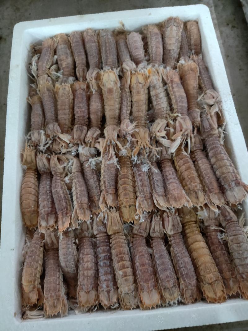 熟速冻皮皮虾，一盒4斤，肥肥得