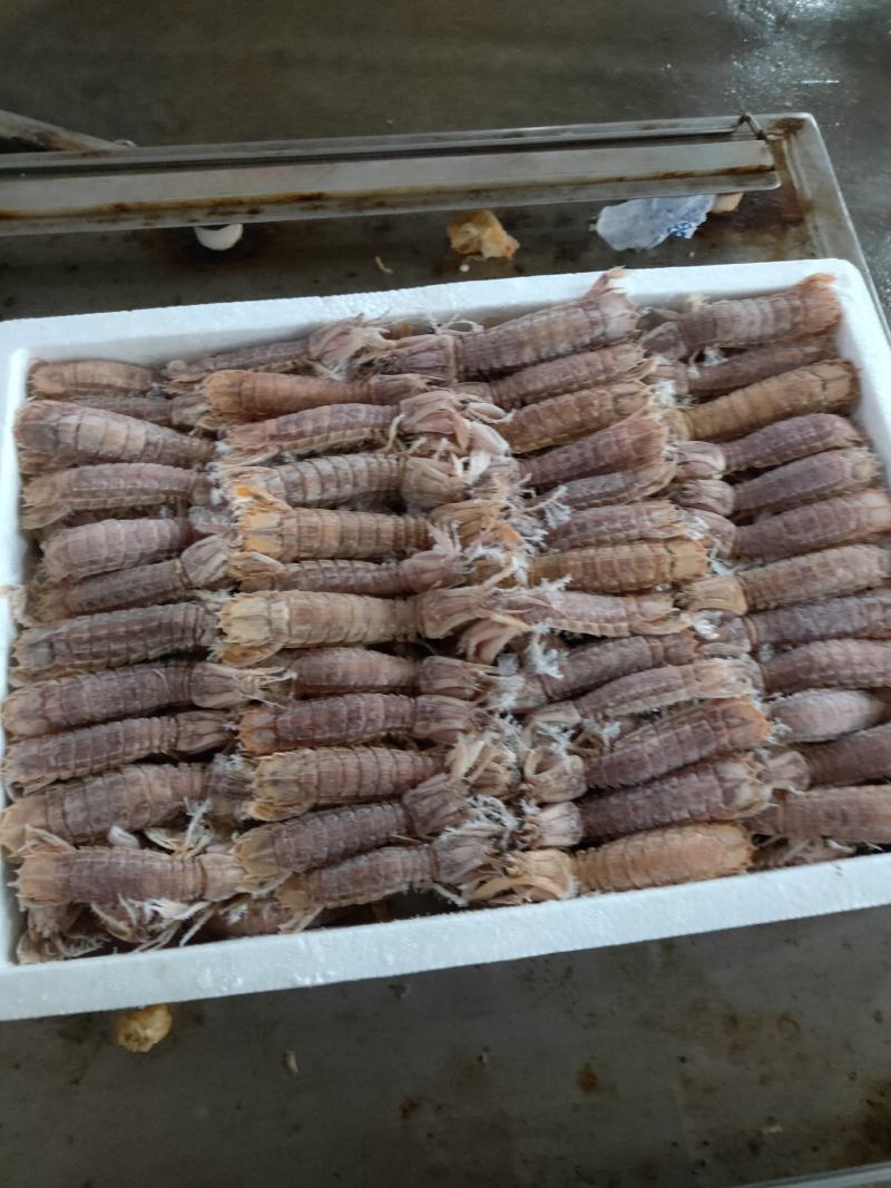 熟速冻皮皮虾，一盒4斤，肥肥得