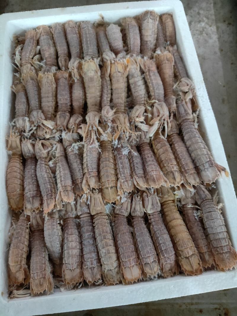 熟速冻皮皮虾，一盒4斤，肥肥得