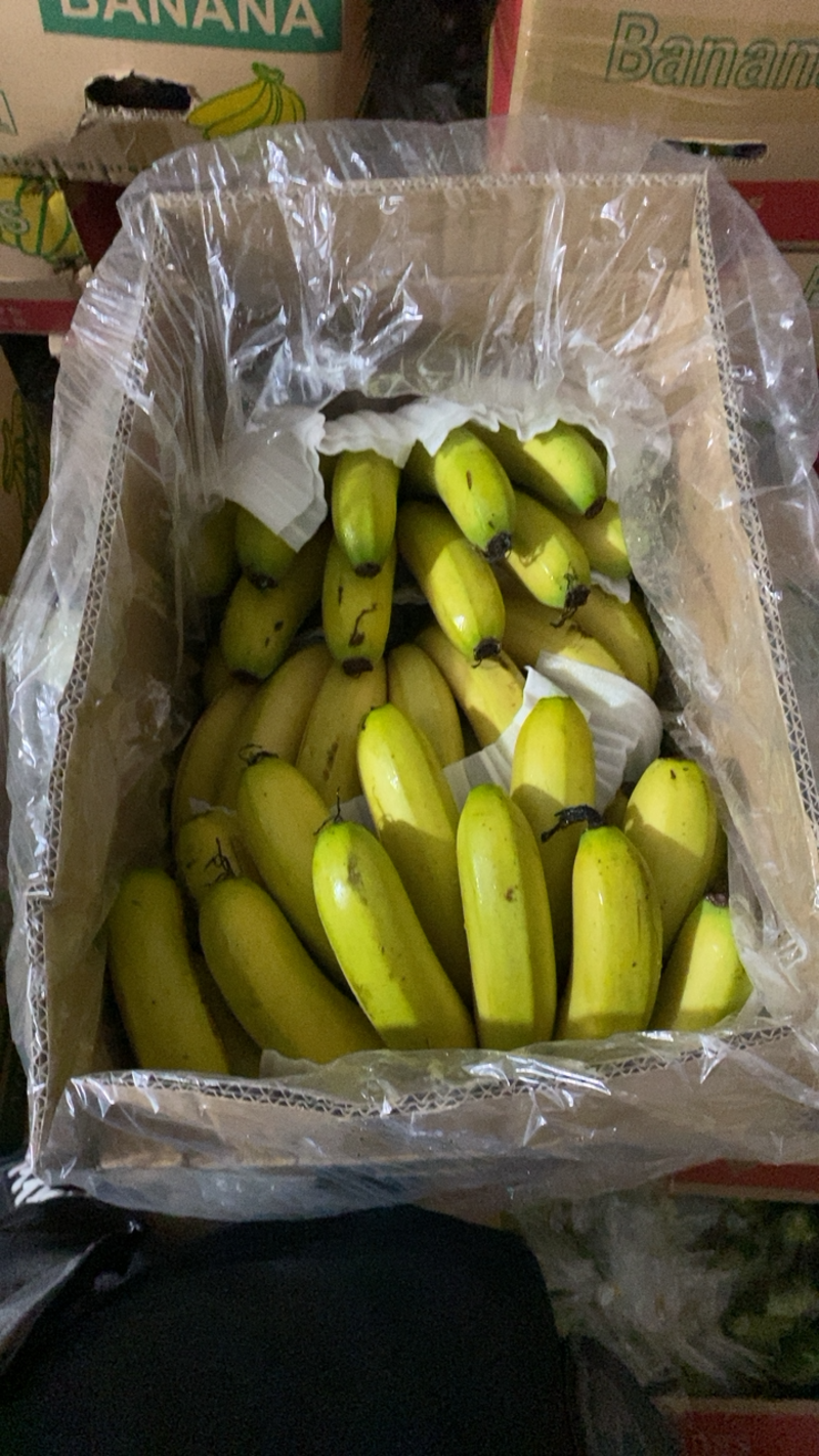 海南精品香蕉，净重17斤，三把货，把型漂亮