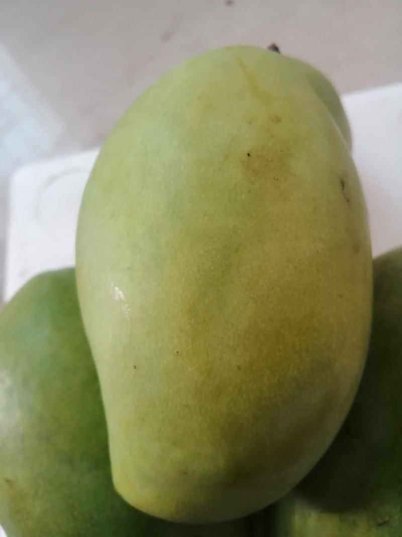 越南玉芒