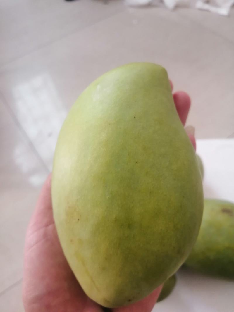 越南玉芒