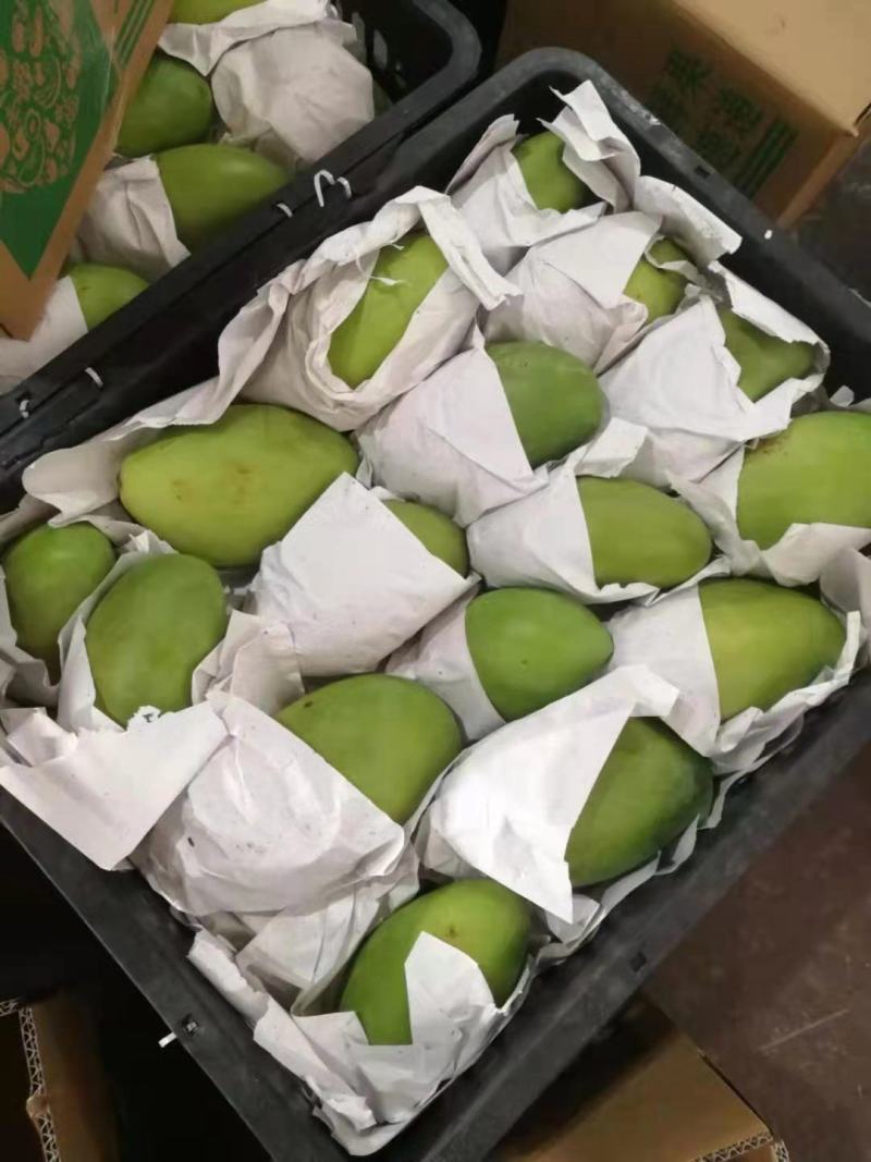 越南玉芒