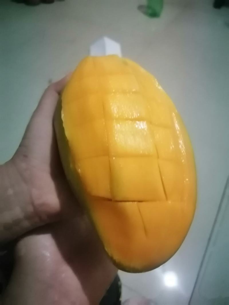 越南玉芒