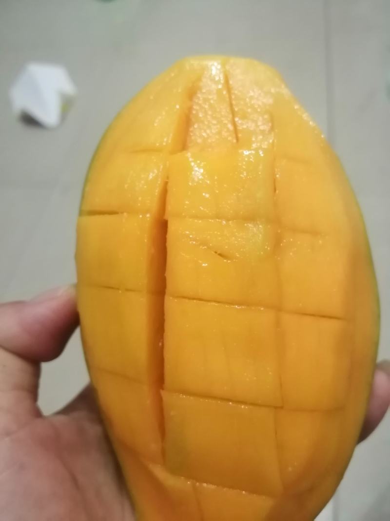 越南玉芒