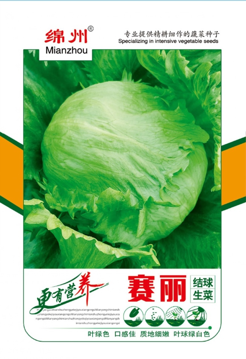 绵蔬赛丽结球生菜/生菜种子/蔬菜种子/叶菜种子