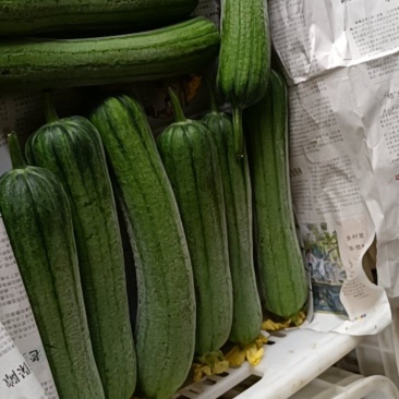 鲜花丝瓜，精品带花肉丝瓜，精品威远鲜花丝瓜