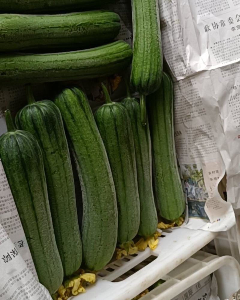 鲜花丝瓜，精品带花肉丝瓜，精品威远鲜花丝瓜